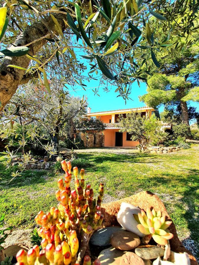 Villa Alice Apartments Orosei Extérieur photo