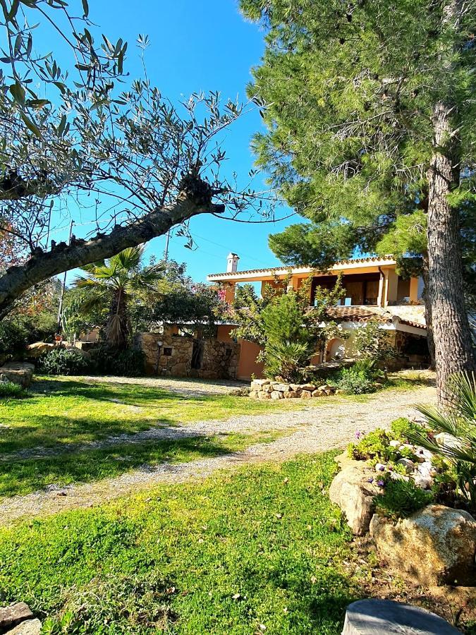 Villa Alice Apartments Orosei Extérieur photo